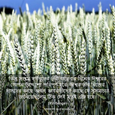 Picture 03 - पপ্রত্যাদেশ 10:7 BENIRV - কিন্তু সপ্তম - Bible Verse Picture