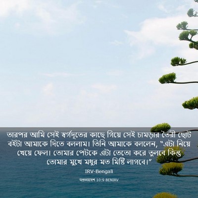 Picture 03 - पপ্রত্যাদেশ 10:9 BENIRV - তারপর আমি সেই - Bible Verse Picture