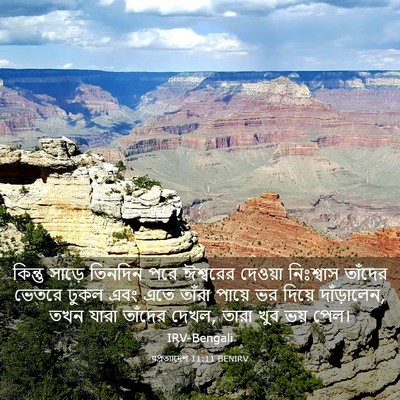Picture 03 - पপ্রত্যাদেশ 11:11 BENIRV - কিন্তু সাড়ে - Bible Verse Picture