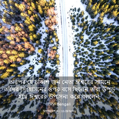Picture 03 - पপ্রত্যাদেশ 11:16 BENIRV - তারপর যে চব্বিশ জন - Bible Verse Picture