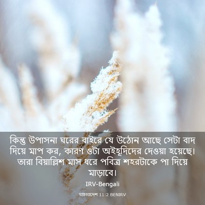 Picture 03 - पপ্রত্যাদেশ 11:2 BENIRV - কিন্তু উপাসনা - Bible Verse Picture