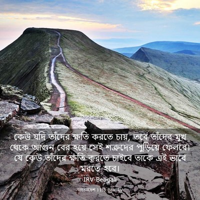 Picture 03 - पপ্রত্যাদেশ 11:5 BENIRV - কেউ যদি তাঁদের - Bible Verse Picture