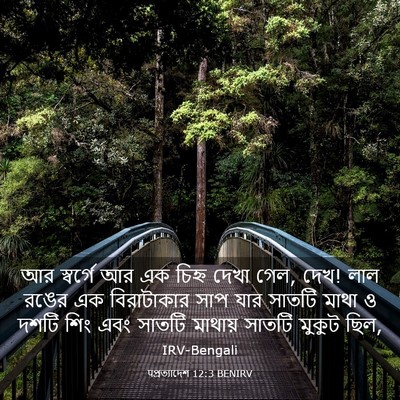 Picture 03 - पপ্রত্যাদেশ 12:3 BENIRV - আর স্বর্গে আর এক - Bible Verse Picture