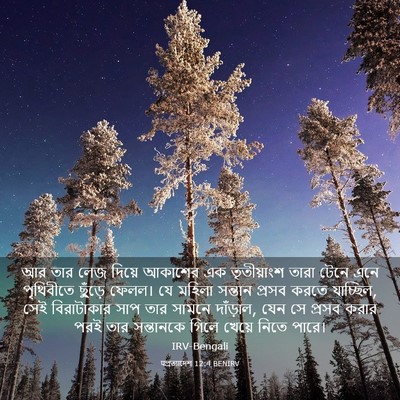 Picture 03 - पপ্রত্যাদেশ 12:4 BENIRV - আর তার লেজ দিয়ে - Bible Verse Picture