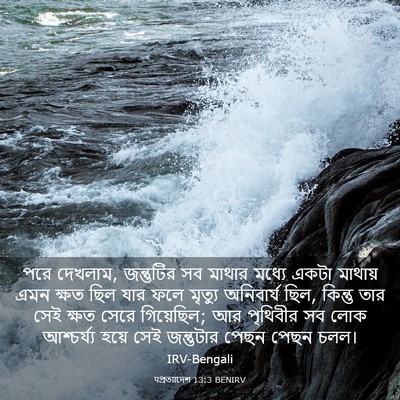 Picture 03 - पপ্রত্যাদেশ 13:3 BENIRV - পরে দেখলাম, - Bible Verse Picture