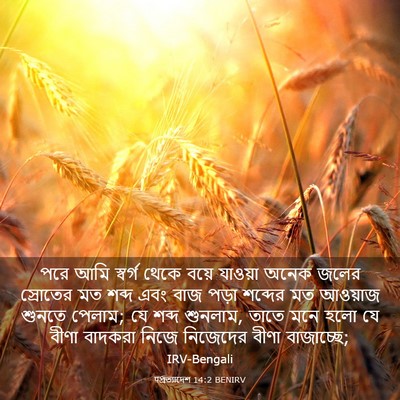 Picture 03 - पপ্রত্যাদেশ 14:2 BENIRV - পরে আমি স্বর্গ - Bible Verse Picture