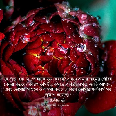 Picture 03 - पপ্রত্যাদেশ 15:4 BENIRV - হে প্রভু, কে না - Bible Verse Picture