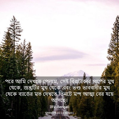 Picture 03 - पপ্রত্যাদেশ 16:13 BENIRV - পরে আমি দেখতে - Bible Verse Picture