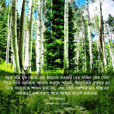 Picture 03 - पপ্রত্যাদেশ 19:15 BENIRV - আর তাঁর মুখ থেকে এক - Bible Verse Picture