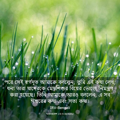 Picture 03 - पপ্রত্যাদেশ 19:9 BENIRV - পরে সেই স্বর্গদূত - Bible Verse Picture