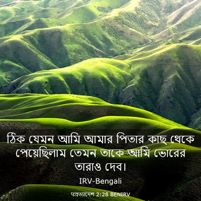 Picture 03 - पপ্রত্যাদেশ 2:28 BENIRV - ঠিক যেমন আমি আমার - Bible Verse Picture