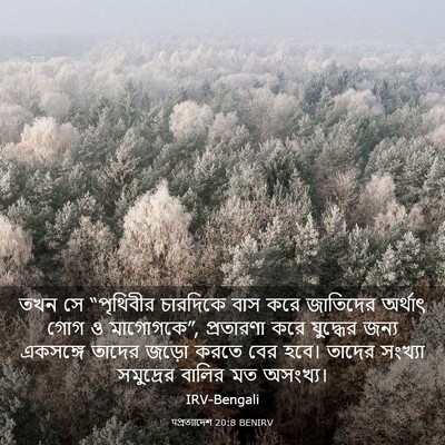 Picture 03 - पপ্রত্যাদেশ 20:8 BENIRV - তখন সে “পৃথিবীর - Bible Verse Picture