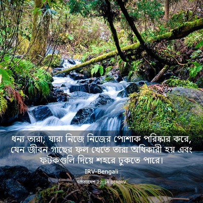 Picture 03 - पপ্রত্যাদেশ 22:14 BENIRV - ধন্য তারা, যারা - Bible Verse Picture
