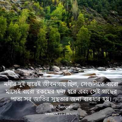 Picture 03 - पপ্রত্যাদেশ 22:2 BENIRV - নদীর দুই ধারেই - Bible Verse Picture