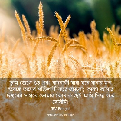 Picture 03 - पপ্রত্যাদেশ 3:2 BENIRV - তুমি জেগে ওঠ এবং - Bible Verse Picture