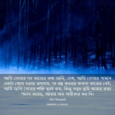 Picture 03 - पপ্রত্যাদেশ 3:8 BENIRV - আমি তোমার সব কাজের - Bible Verse Picture