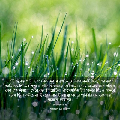 Picture 03 - पপ্রত্যাদেশ 5:6 BENIRV - চারটি জীবন্ত - Bible Verse Picture