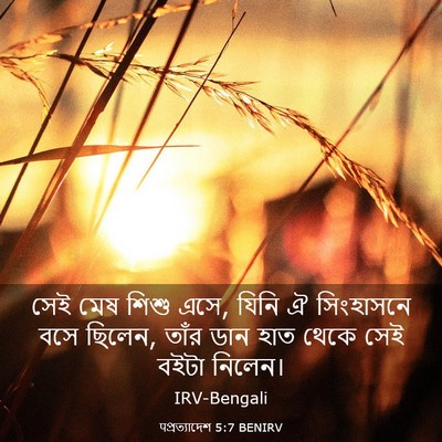 Picture 03 - पপ্রত্যাদেশ 5:7 BENIRV - সেই মেষ শিশু এসে, - Bible Verse Picture