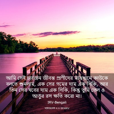 Picture 03 - पপ্রত্যাদেশ 6:6 BENIRV - আমি সেই চারজন - Bible Verse Picture