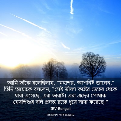 Picture 03 - पপ্রত্যাদেশ 7:14 BENIRV - আমি তাঁকে - Bible Verse Picture
