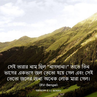Picture 03 - पপ্রত্যাদেশ 8:11 BENIRV - সেই তারার নাম ছিল - Bible Verse Picture