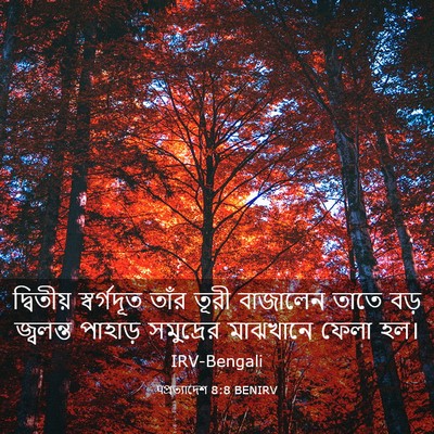 Picture 03 - पপ্রত্যাদেশ 8:8 BENIRV - দ্বিতীয় - Bible Verse Picture