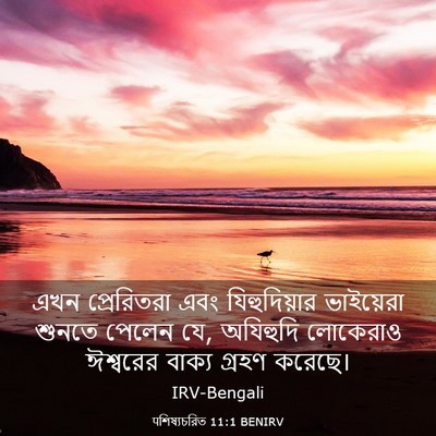 Picture 03 - पশিষ্যচরিত 11:1 BENIRV - এখন প্রেরিতরা এবং - Bible Verse Picture