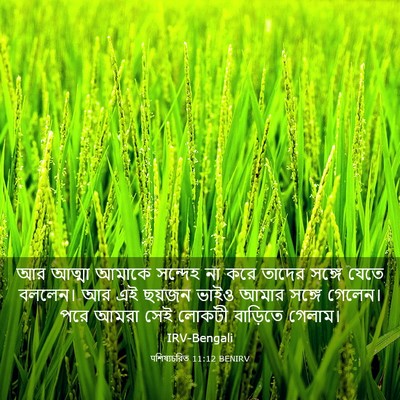 Picture 03 - पশিষ্যচরিত 11:12 BENIRV - আর আত্মা আমাকে - Bible Verse Picture