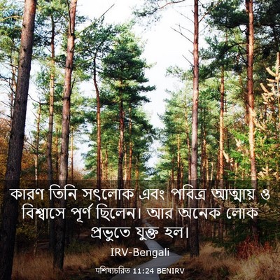 Picture 03 - पশিষ্যচরিত 11:24 BENIRV - কারণ তিনি সৎলোক - Bible Verse Picture