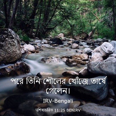Picture 03 - पশিষ্যচরিত 11:25 BENIRV - পরে তিনি শৌলের - Bible Verse Picture