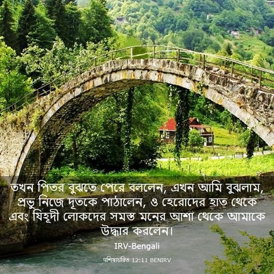 Picture 03 - पশিষ্যচরিত 12:11 BENIRV - তখন পিতর বুঝতে - Bible Verse Picture