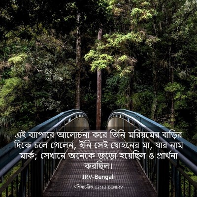 Picture 03 - पশিষ্যচরিত 12:12 BENIRV - এই ব্যাপারে - Bible Verse Picture