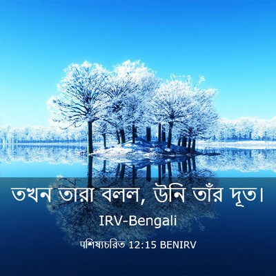 Picture 03 - पশিষ্যচরিত 12:15 BENIRV - তখন তারা বলল, উনি - Bible Verse Picture