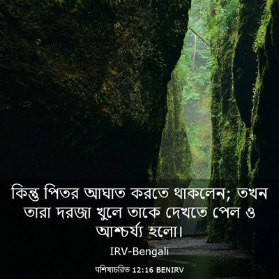 Picture 03 - पশিষ্যচরিত 12:16 BENIRV - কিন্তু পিতর আঘাত - Bible Verse Picture