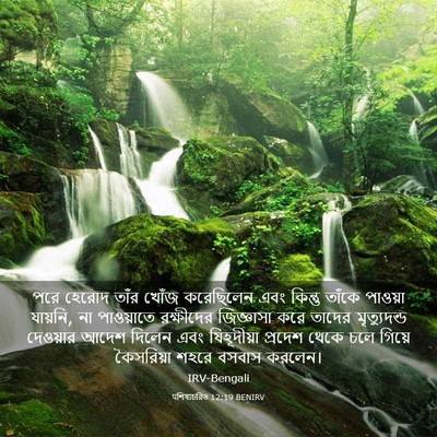 Picture 03 - पশিষ্যচরিত 12:19 BENIRV - পরে হেরোদ তাঁর - Bible Verse Picture