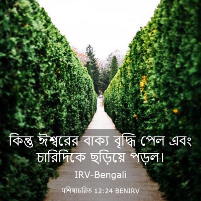 Picture 03 - पশিষ্যচরিত 12:24 BENIRV - কিন্তু ঈশ্বরের - Bible Verse Picture