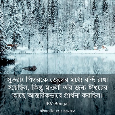 Picture 03 - पশিষ্যচরিত 12:5 BENIRV - সুতরাং পিতরকে - Bible Verse Picture