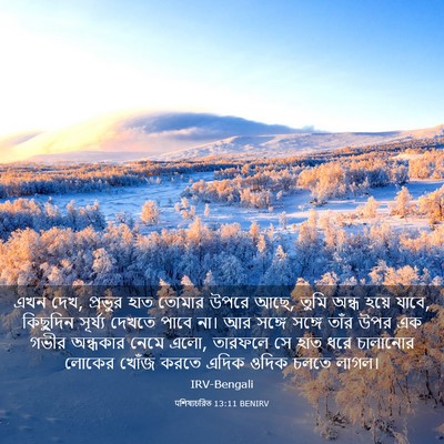 Picture 03 - पশিষ্যচরিত 13:11 BENIRV - এখন দেখ, প্রভুর হাত - Bible Verse Picture