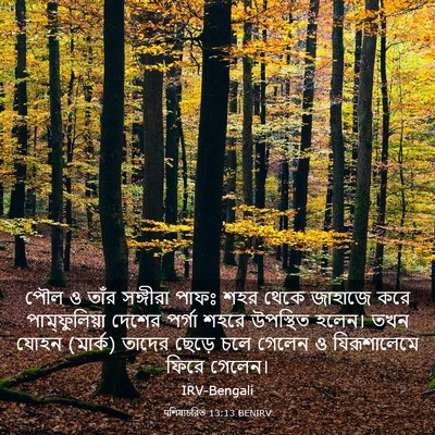 Picture 03 - पশিষ্যচরিত 13:13 BENIRV - পৌল ও তাঁর সঙ্গীরা - Bible Verse Picture