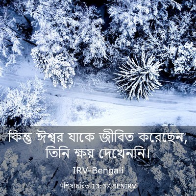 Picture 03 - पশিষ্যচরিত 13:37 BENIRV - কিন্তু ঈশ্বর যাকে - Bible Verse Picture
