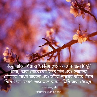 Picture 03 - पশিষ্যচরিত 14:19 BENIRV - কিন্তু - Bible Verse Picture
