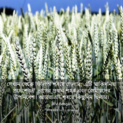 Picture 03 - पশিষ্যচরিত 16:12 BENIRV - সেখান থেকে ফিলিপী - Bible Verse Picture