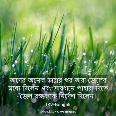 Picture 03 - पশিষ্যচরিত 16:23 BENIRV - তাদের অনেক মারার - Bible Verse Picture