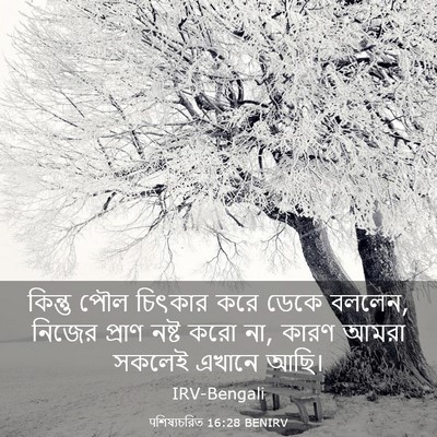 Picture 03 - पশিষ্যচরিত 16:28 BENIRV - কিন্তু পৌল চিৎকার - Bible Verse Picture