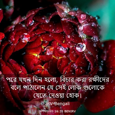 Picture 03 - पশিষ্যচরিত 16:35 BENIRV - পরে যখন দিন হলো, - Bible Verse Picture