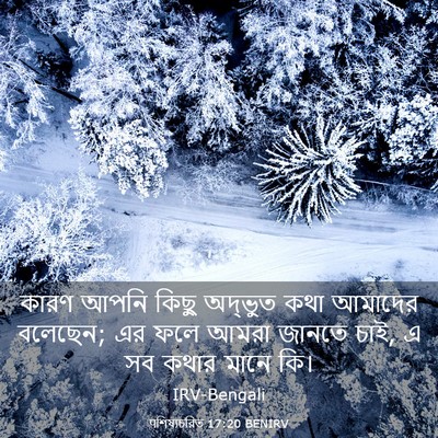 Picture 03 - पশিষ্যচরিত 17:20 BENIRV - কারণ আপনি কিছু - Bible Verse Picture