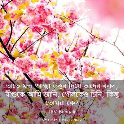 Picture 03 - पশিষ্যচরিত 19:15 BENIRV - তাতে মন্দ আত্মা - Bible Verse Picture