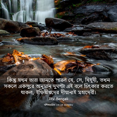 Picture 03 - पশিষ্যচরিত 19:34 BENIRV - কিন্তু যখন তারা - Bible Verse Picture