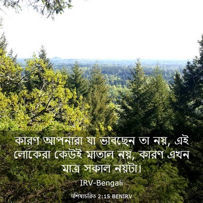 Picture 03 - पশিষ্যচরিত 2:15 BENIRV - কারণ আপনারা যা - Bible Verse Picture