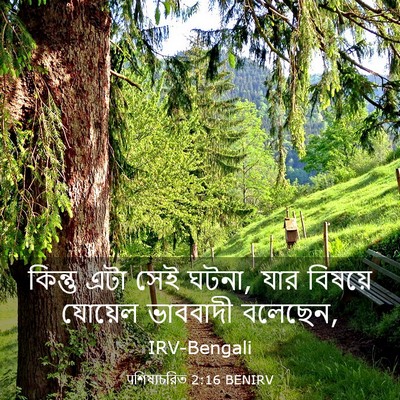Picture 03 - पশিষ্যচরিত 2:16 BENIRV - কিন্তু এটা সেই - Bible Verse Picture